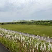 庄川の朝風景