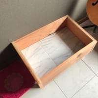 川の水