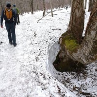 ▲ポレポレ隊が行く！ 尾瀬