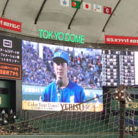 勝ちました🙆