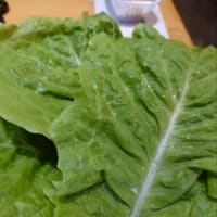 焼肉食べ放題へ行ってきました♪(・∀・)丿