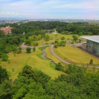 太閤山ランド展望塔。。。