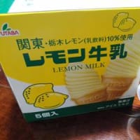 レモン牛乳(^o^)