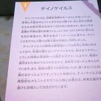 恐竜博物館25周年「獣脚類2025展」行ってきました。