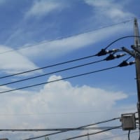 梅雨前線の復活に…台風2号の発生～ (-＿-)ｳｰﾑ　トカラの群発地震は続く…