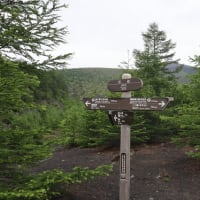 富士山自然休養林でハイキング♪②