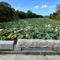 有田　福岡へ。。。パートツー