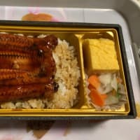 うな重弁当&冷やし中華