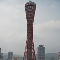新クルーズ船「飛鳥ⅲ」　神戸港に習熟航海で寄港　ＴＪ