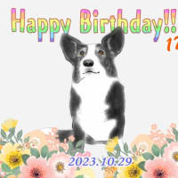 アリス　誕生日の前の日
