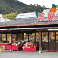 温泉の旅　道の駅「東陽」夢あかり　熊本県