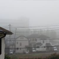 朝霧