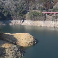 弥栄ダムの水位