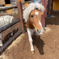 このブログも。。