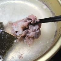 月下美人の第一回目開花2025