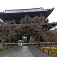 京都・奈良旅行