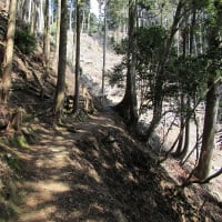 本山寺からポンポン山へ登ると桜の季節なのに雪道でした　その1　　2025年3月22日