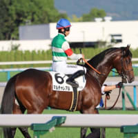 ３戦３勝