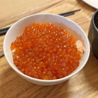 兄弟会終了