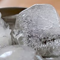 記念撮影ですの