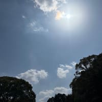 お久しぶりです