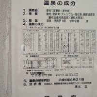 蓼科温泉　小斉の湯
