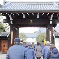 京の冬の旅