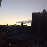 2025年6月29日（日）晴。