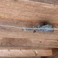 稲わらの片付けと田圃に施肥
