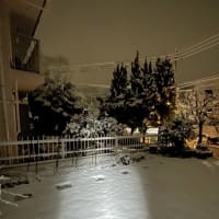 3月の雪