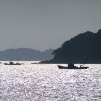 ６月の水辺の風景