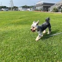 長井浜リゾート＊そらすな＊