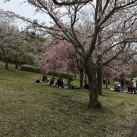 記事のタイトルを入力してください（必須）