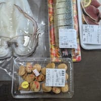 道の駅宗像でイカゲット！