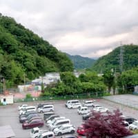 【釣】2025年の解禁日に銀影競技へこれでもかと魂が入る　（2025/06/01 　鮎　笹子川）