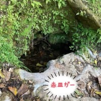 浦添市を巡る♪