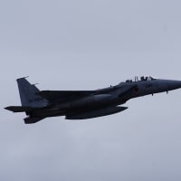 【拡散願います】宮古島からの帰路、軍民共用空港　那覇空港で撮る（20250528）
