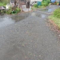 久しぶりの雨