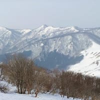 残雪が多過ぎて…