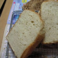 今日のパン