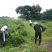 はばたきの丘とふるさと村の草刈り