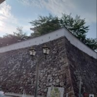 作業報告No.1033 :1113週目(2025.07.06)