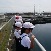 6月11日(火)　川添浄水場の見学に行ってきました。(4年)