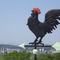 GW始まり、風が！