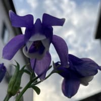 2025/05/19
