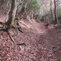 加茂勢山（通称ポンポン山）