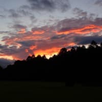 昨日も夕焼けを撮りに