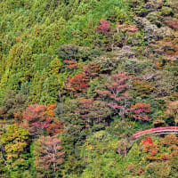 奥大井湖上駅～静岡写真の旅～