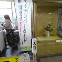 市役所挿花４月１０日