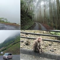 2025年5月21日　【タント】実家用タント(L375S)で伊豆半島プチツーリング(その６・県道)